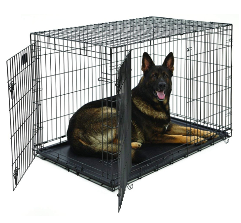 fetch dog crate