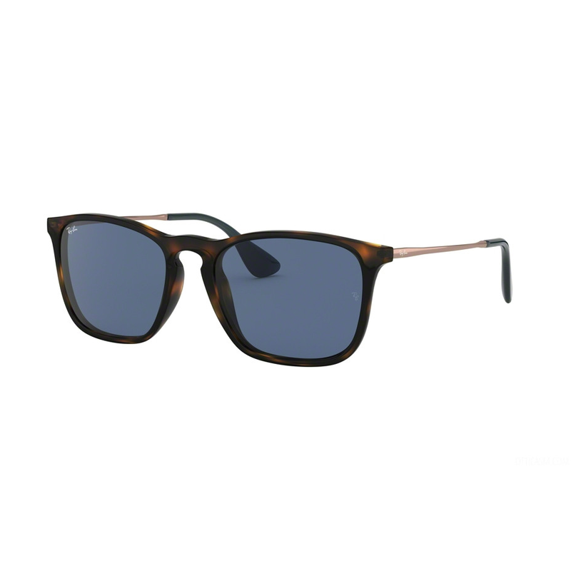 Ray-Ban Chris Sunglasses (Havana) – Rewards Shop New Zealand